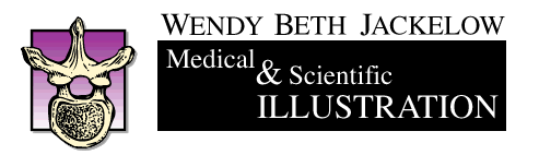 Wendy's banner