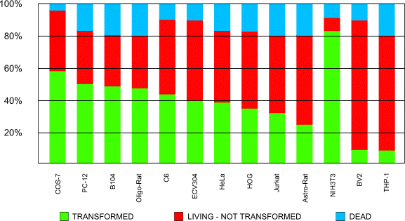 Transformation graph